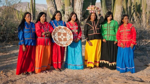 A revisión, la propiedad de la tierra en la zona yaqui: AMLO