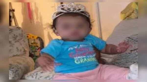 Muere una beba luego de que fuera atacada por un perro de raza pitbull; el trágico hecho se registró en estado de Illinois, Estados Unidos