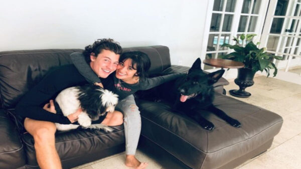 Camila Cabello y Shawn Mende, fueron víctimas de los amantes de lo ajeno, pues un grupo de ladrones entraron a su domicilio en Los Ángele