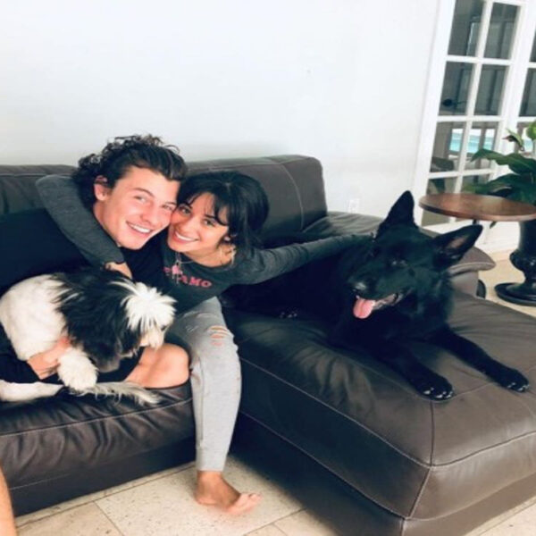 Camila Cabello y Shawn Mende, fueron víctimas de los amantes de lo ajeno, pues un grupo de ladrones entraron a su domicilio en Los Ángele