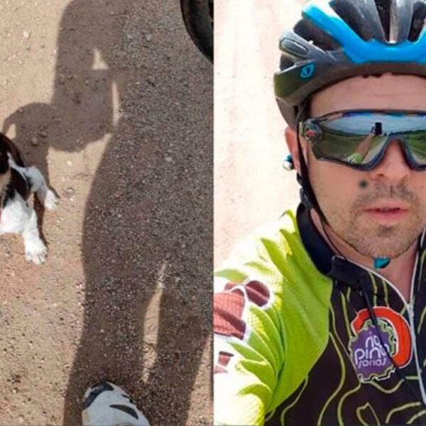 La crueldad de algunos humanos contra los peludos no tiene límite y las redes sociales se inundan de historias de animales abandonados