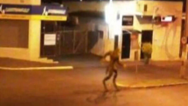 Las historias sobre Ovnis generan reacciones encontradas entre los creyentes y los escépticos, ahora la imagen de un humanoide captada en Brasil se viraliza