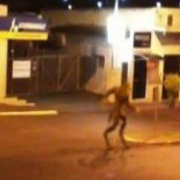 Las historias sobre Ovnis generan reacciones encontradas entre los creyentes y los escépticos, ahora la imagen de un humanoide captada en Brasil se viraliza