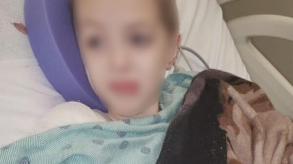 Cuando jugaba en una playa de Miami, Beach, Estados Unidos, un niño fue atacado por un tiburón