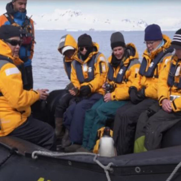 En video quedó captado el momento exacto en que un pingüino salva su vida al brincar al bote de unos turistas, era atacado por orcas asesinas
