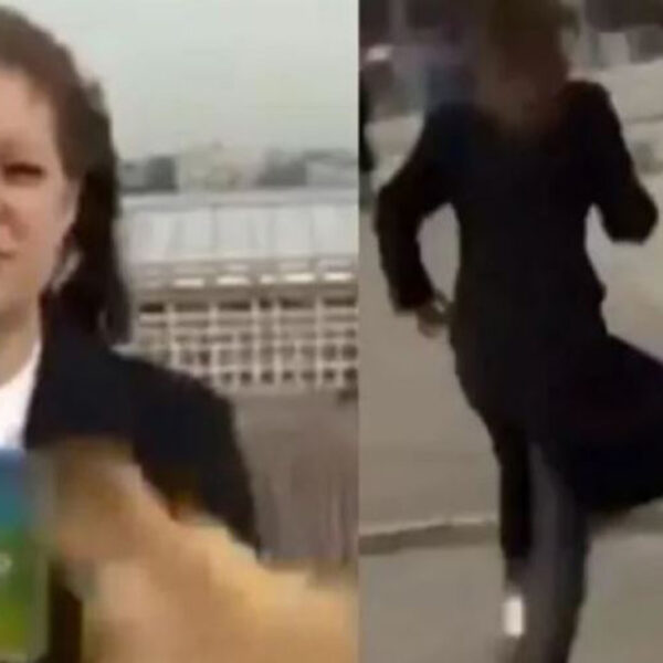 Cuando una reportera de televisión daba su reporte en vivo, un peculiar perro hizo de la suyas dejando sorprendidos a los espectadores
