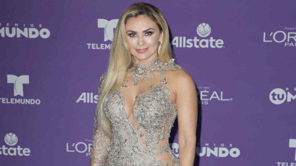 Aracely Arámbula se protege para NO aparecer en 'Luis Miguel: La serie’