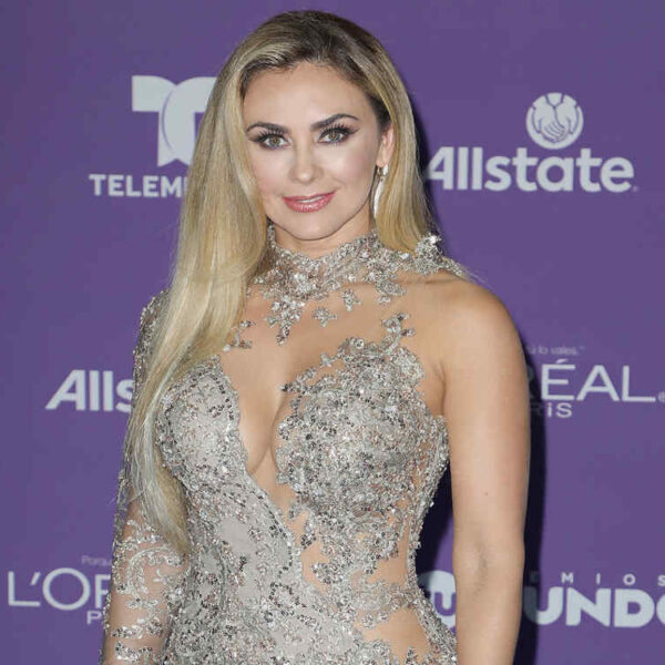 Aracely Arámbula se protege para NO aparecer en 'Luis Miguel: La serie’