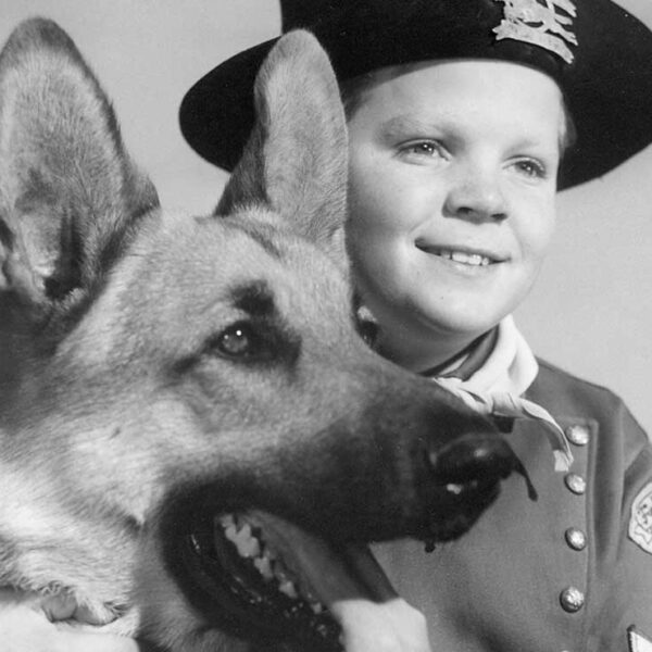 ¡Triste final! Falleció Lee Aaker, famoso por la serie ‘Rin Tin Tin’, nadie reclamo el cuerpo