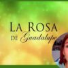 Tunden en redes a ‘La Rosa de Guadalupe’ por episodio sobre Nath Campos