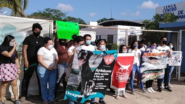 Por el presunto maltrato a dos perros en el Centro de Control Canino de Mérida, Activistas se manifiestan