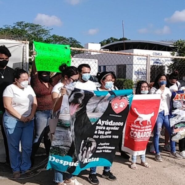 Por el presunto maltrato a dos perros en el Centro de Control Canino de Mérida, Activistas se manifiestan