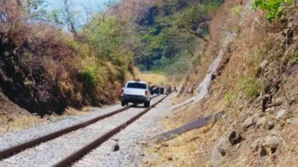 En Colima, encuentra siete cuerpos en un barranco