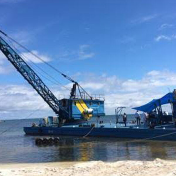 Suspendidos estudios de Ecosur sobre dragado del Canal de Zaragoza