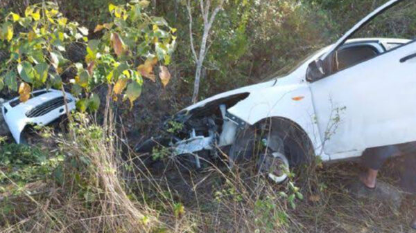 Carretera Cafetal - Mahahual trampa mortal para automovilistas
