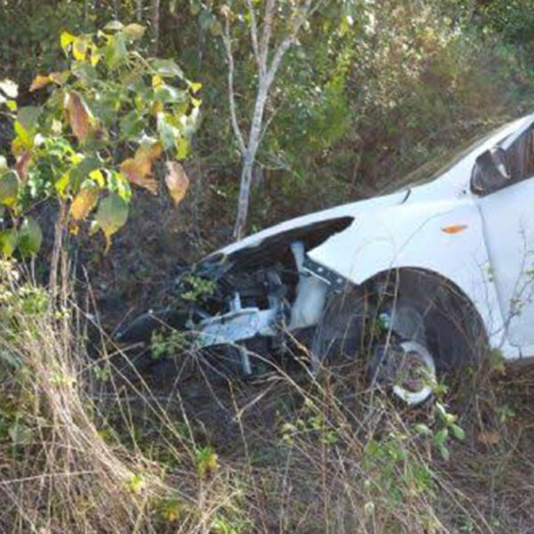 Carretera Cafetal - Mahahual trampa mortal para automovilistas
