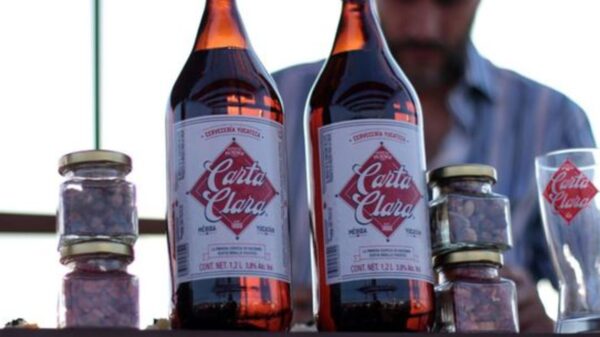 Regresa a cerveza típica Carta Clara a Yucatán