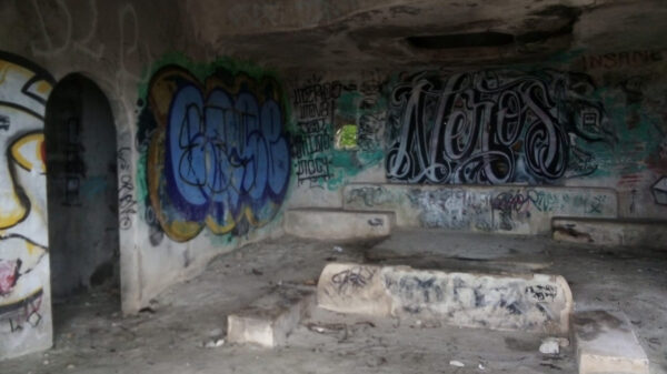 Viviendas abandonas de Playa del Carmen son guaridas de malvivientes