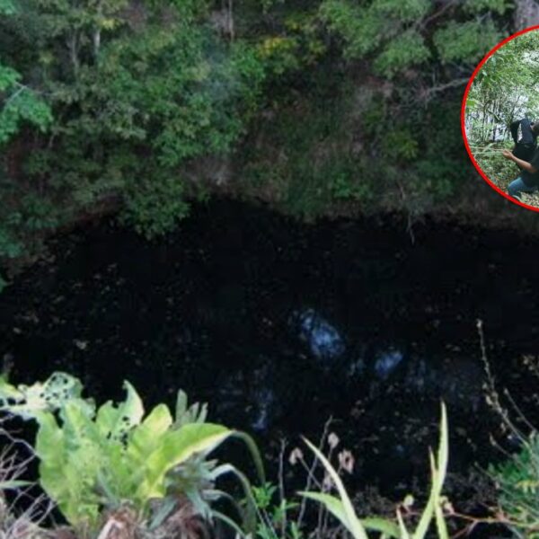 Habitante de Uayma es encontrado sin vida en un cenote, murió ahogado