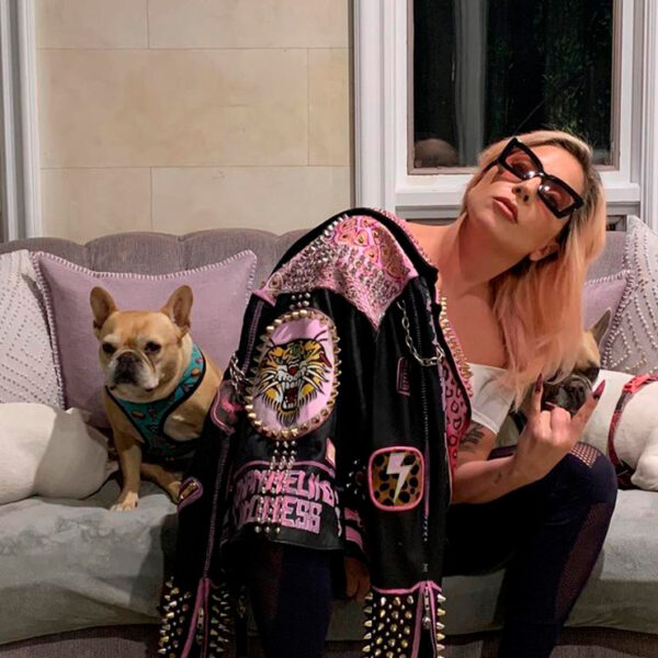 Cinco personas son detenidas por secuestrar a los perros de Lady Gaga