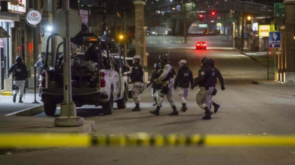 Guardia Nacional localiza 5 cuerpos atados de pies y manos en Sonora