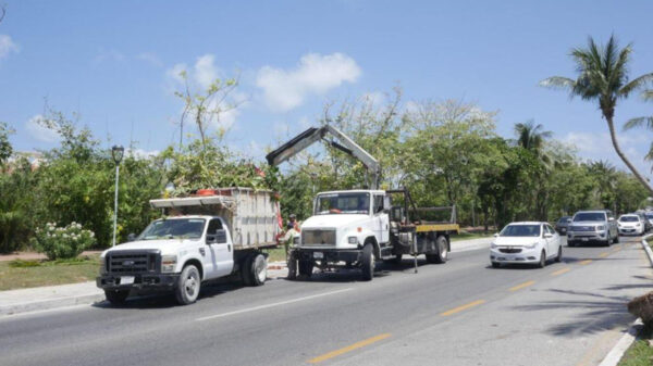Nada que celebrar este Día de la Tierra: Ambientalista