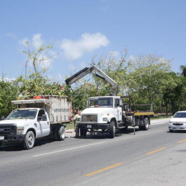 Nada que celebrar este Día de la Tierra: Ambientalista