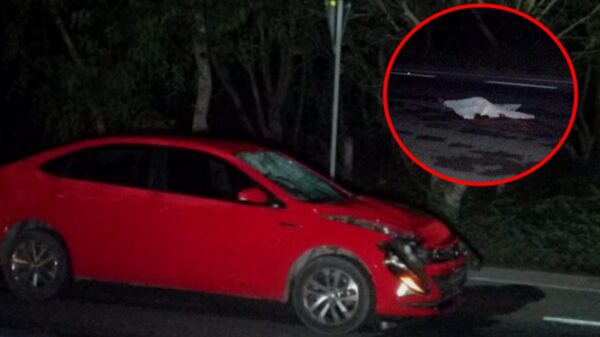 Ciclista muere al ser atropellado tres veces en la carretera Mérida-Chetumal