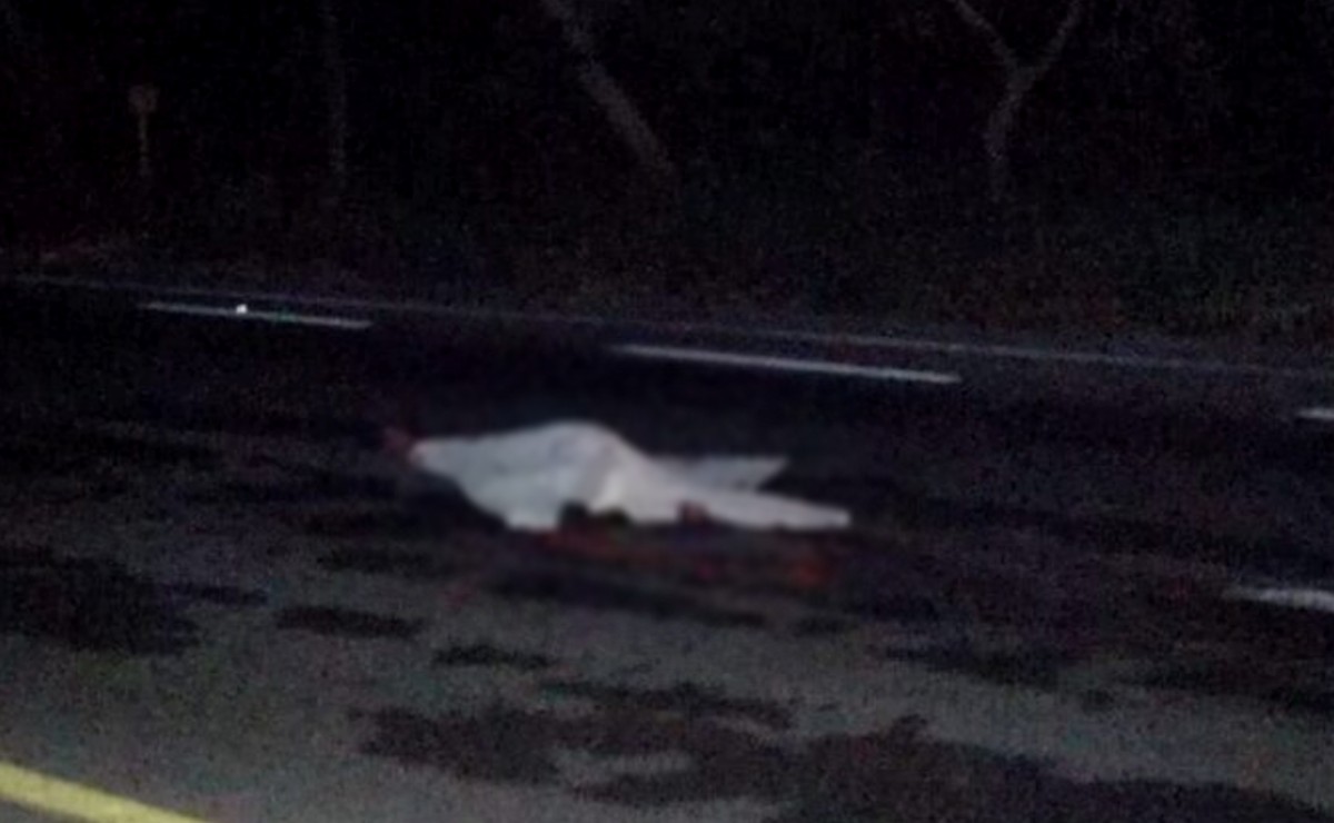 Ciclista muere al ser atropellado tres veces en la carretera Mérida-Chetumal