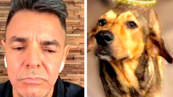 Eugenio Derbez alza la voz por el asesinato de 'Rodolfo Corazón'