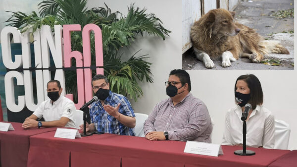 Dona PETA 200 esterilizaciones de mascotas en Cancún