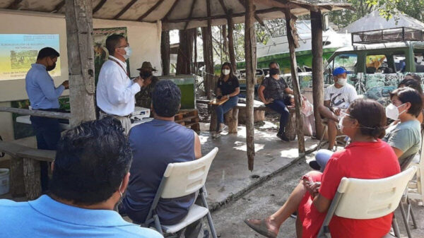 Conforman comité de vigilancia ambiental "Guardianes de la Selva" en Puerto Morelos