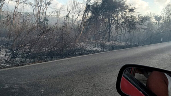 Conato de incendio en Lázaro Cárdenas entorpece circulación