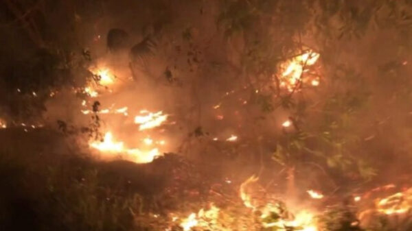 Incendio consume diez hectáreas de monte en Mahahual