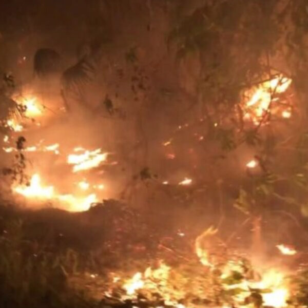 Incendio consume diez hectáreas de monte en Mahahual