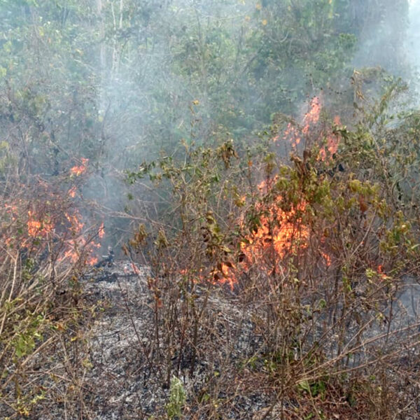 Difundirán a ejidos la NOM-15 sobre quemas agropecuarias