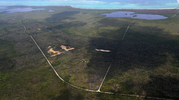 Van cinco incendios forestales a la fecha en Quintana Roo