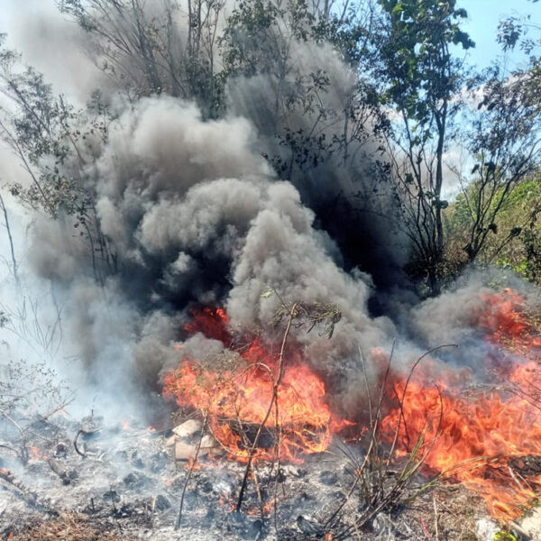 Pululan conatos de incendios forestales en Lázaro Cárdenas