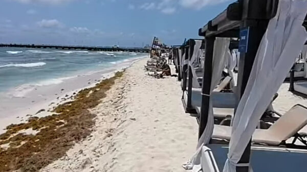 Desechan hoteleros de Playa del Carmen quejas de invasión de playas públicas
