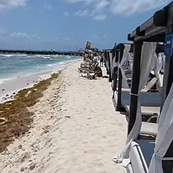 Desechan hoteleros de Playa del Carmen quejas de invasión de playas públicas