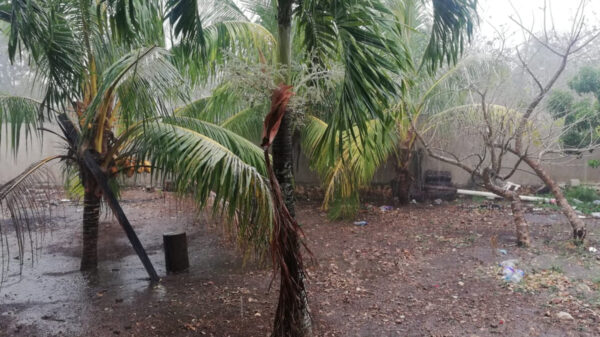 Lluvias dejan sin telefonía celular a Kantunilkín