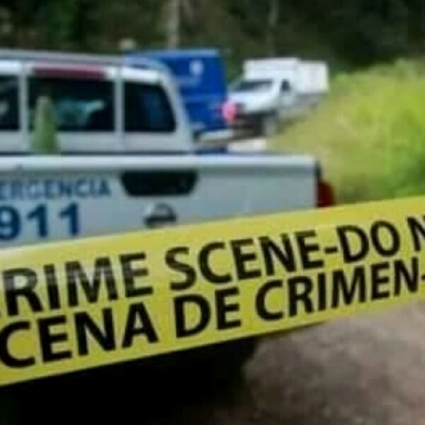 Madre era diariamente agredida por su hijo; decidió matarlo a machetazos