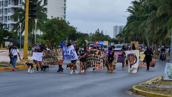 Nueva marcha-manifestación de colectivos feministas en Cancún