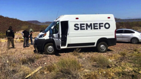 ¡Salvajismo! Matan y despedazan a ecologista en Guerrero