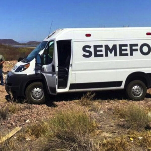 ¡Salvajismo! Matan y despedazan a ecologista en Guerrero