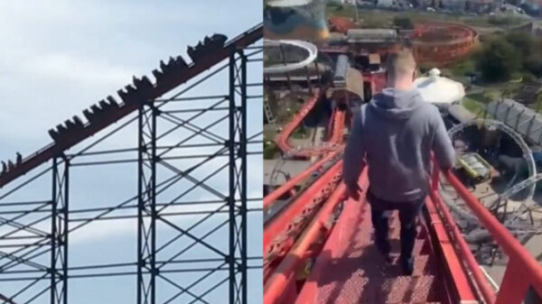 Jóvenes bajan a pie tras quedar atrapados en una montaña rusa