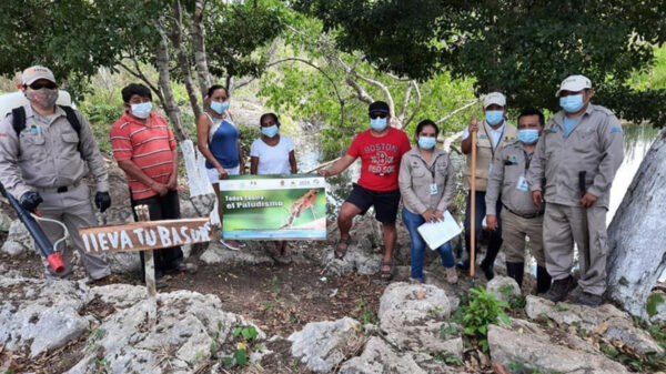 Combate Sesa el paludismo en Felipe Carrillo Puerto