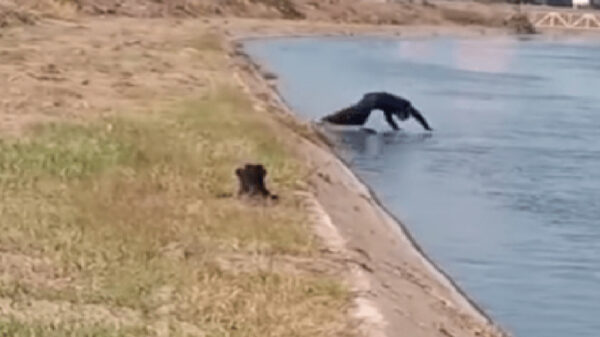 Las historias de policías malandros son las que se viralizan en redes sociales, pero en esta ocasión un elemento del estado de Sinaloa se ganó el corazón de los internautas