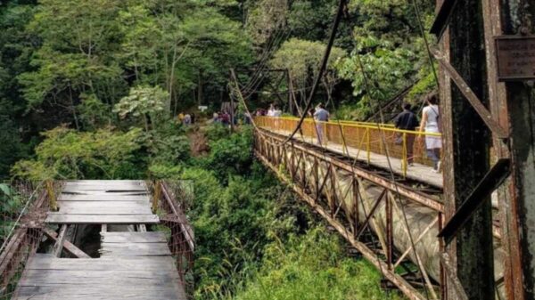 Cae de puente colgante en Veracruz y muere