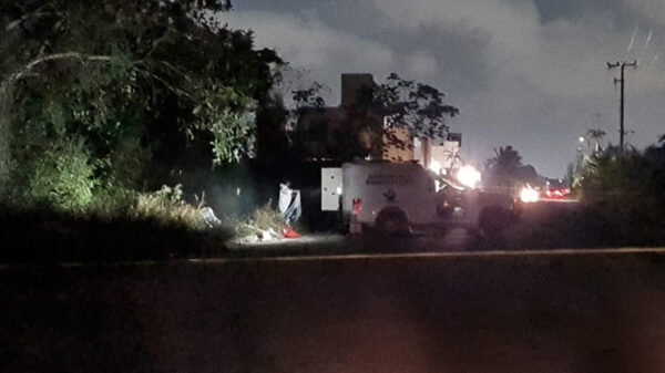 Cancún: Localizan presuntos restos humanos en la región 252